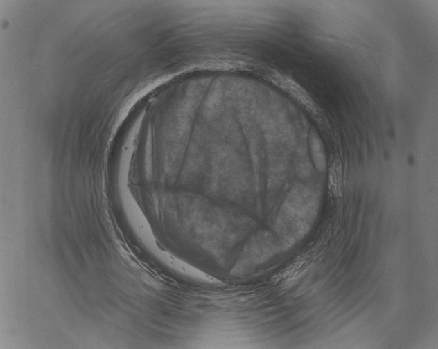 X0000062630724200601181719