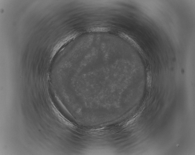 X0000062630725200601181719