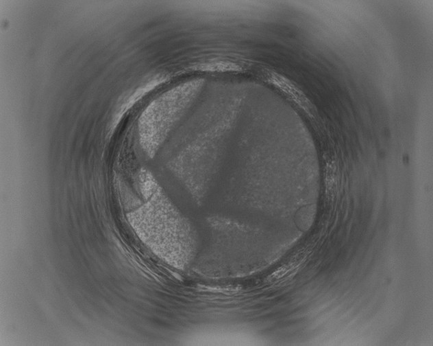 X0000062630727200601181719