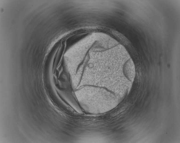 X0000062630728200601181719