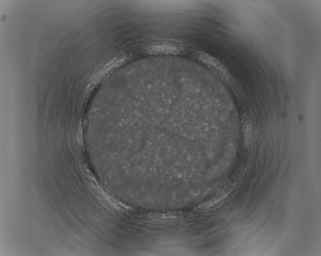 X0000062630729200601181719