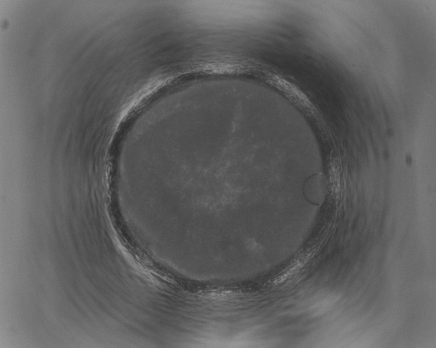 X0000062630730200601181719