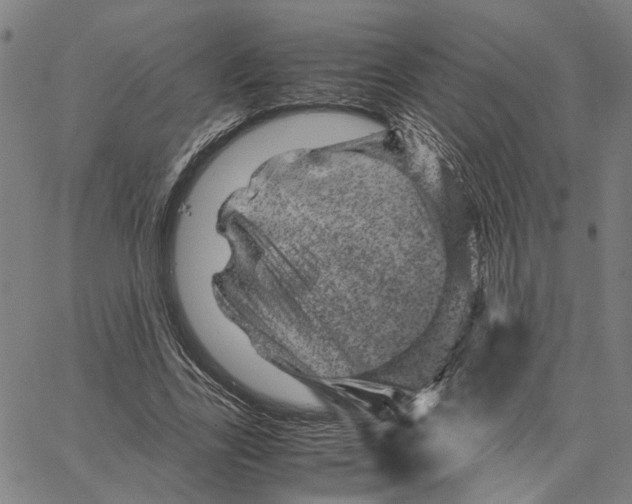 X0000062630731200601181719