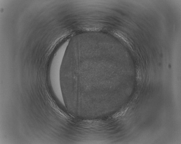 X0000062630733200601181719