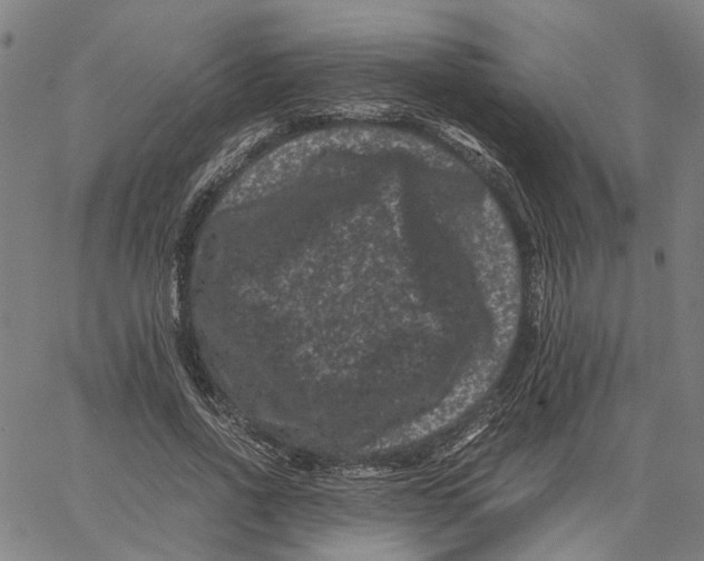 X0000062630734200601181719