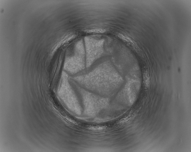 X0000062630735200601181719