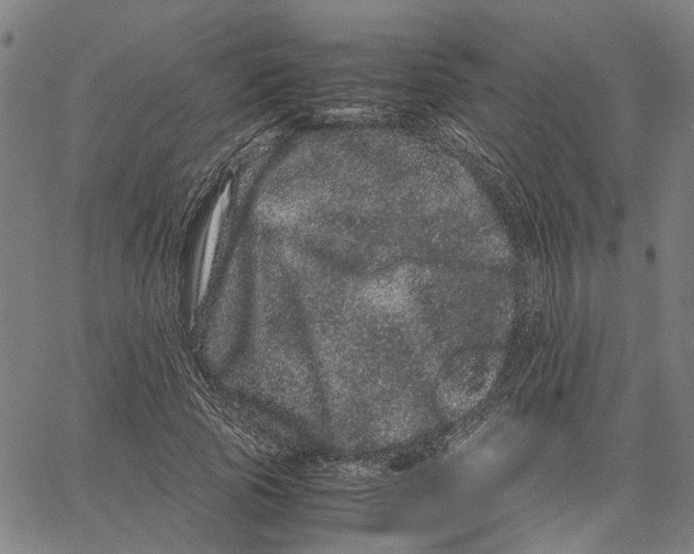 X0000062630737200601181719