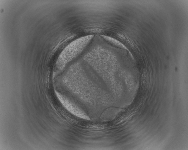 X0000062630739200601181719