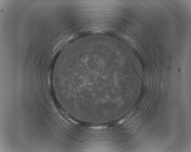 X0000062630740200601181719