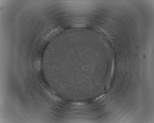 X0000062630741200601181719