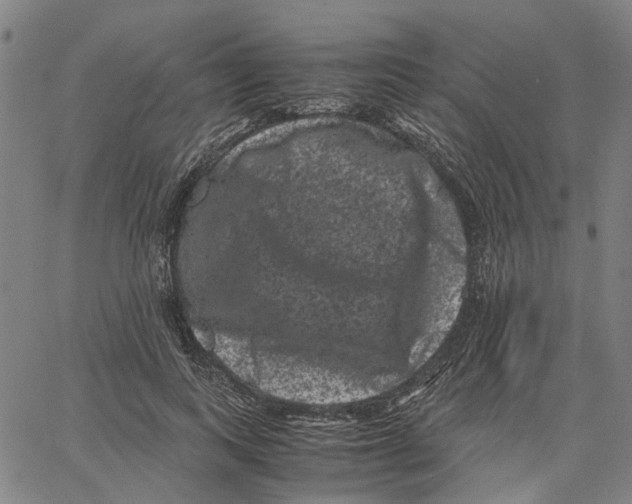 X0000062630743200601181719