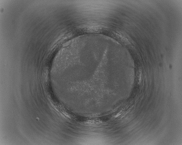 X0000062630744200601181719