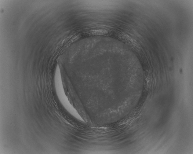 X0000062630745200601181719