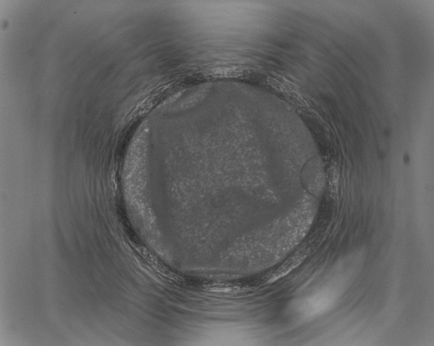 X0000062630746200601181719