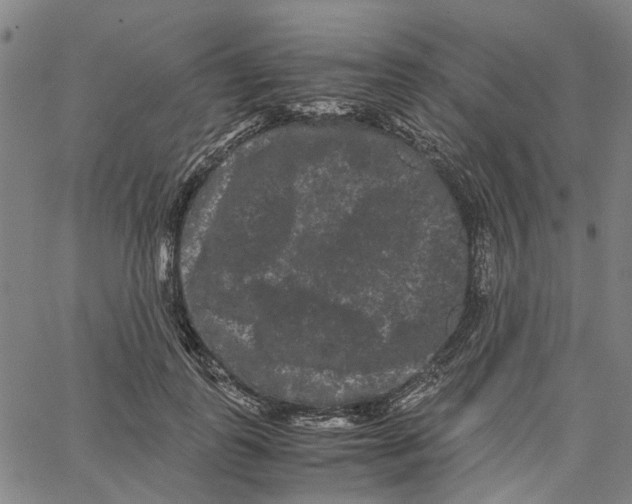 X0000062630747200601181719