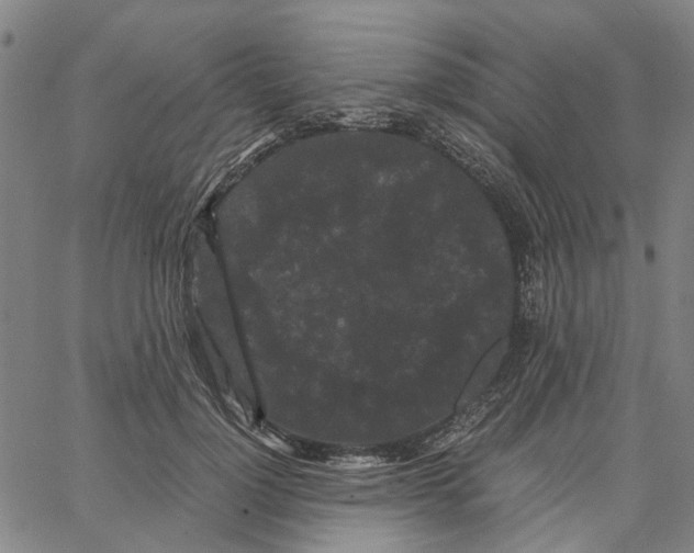 X0000062630748200601181719