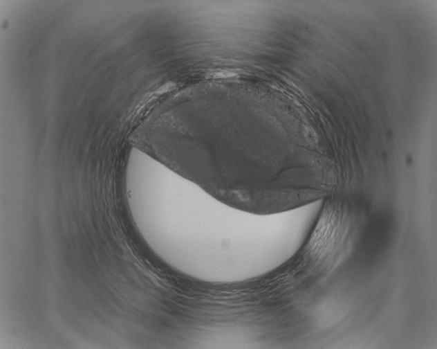 X0000062630750200601181719