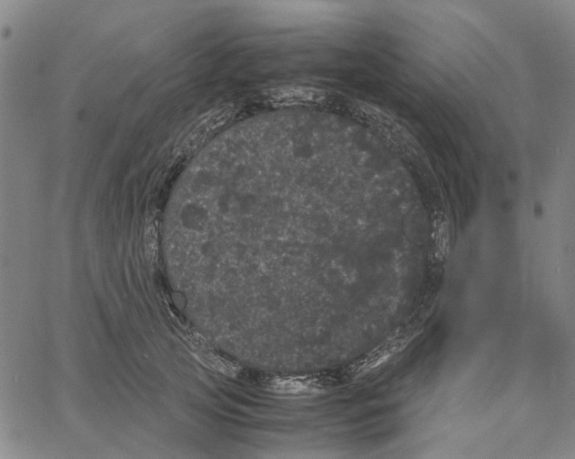 X0000062630753200601181719