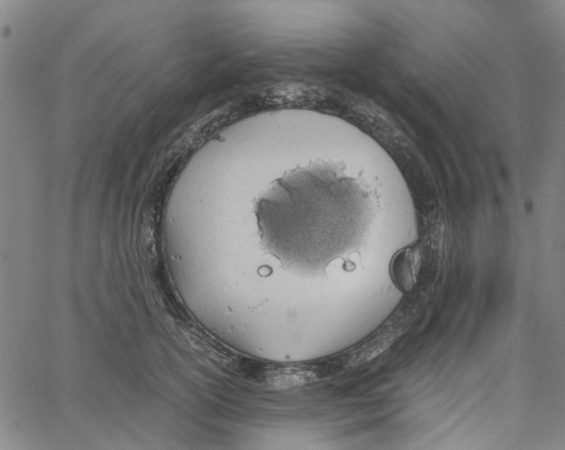 X0000062630754200601181719