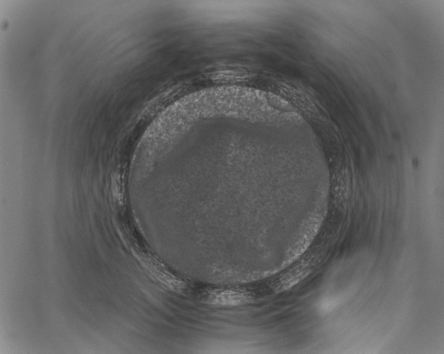 X0000062630755200601181719