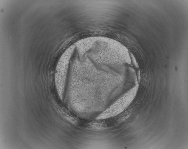 X0000062630756200601181719