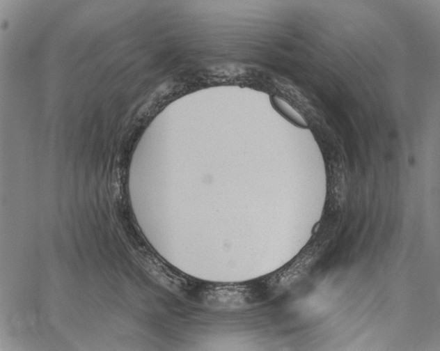 X0000062630758200601181719