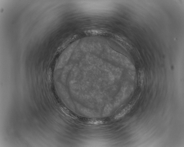 X0000062630760200601181719