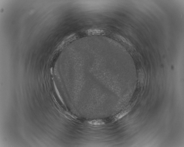 X0000062630761200601181719