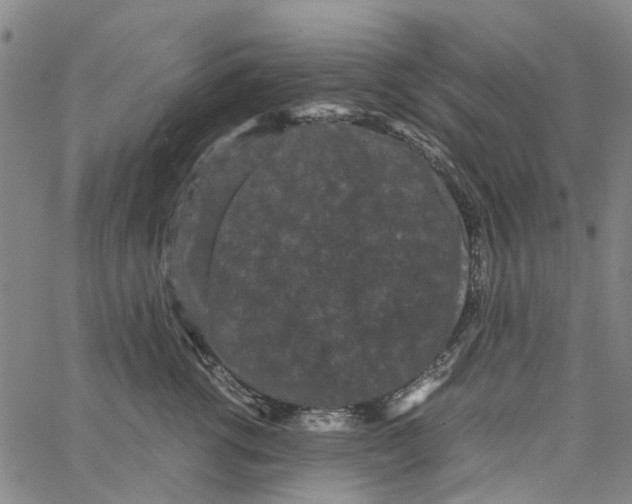 X0000062630762200601181719