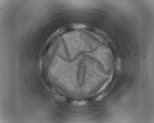 X0000062630763200601181719