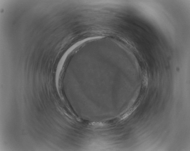 X0000062630766200601181719