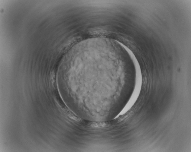 X0000062630767200601181720