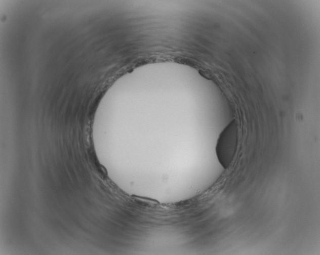 X0000062630768200601181720