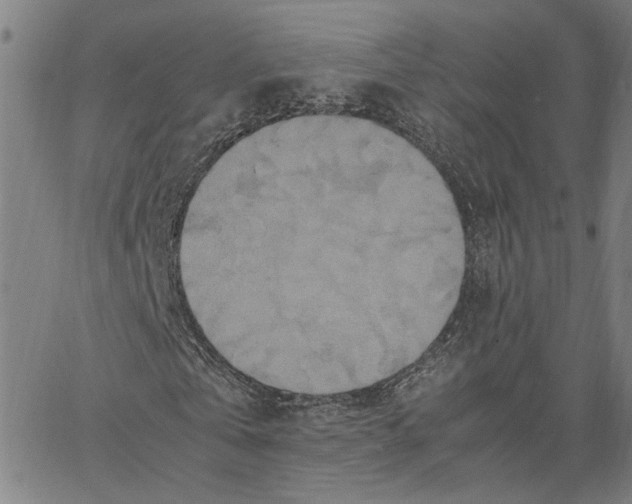 X0000062630769200601181719