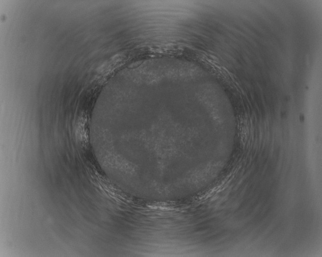 X0000062630770200601181719