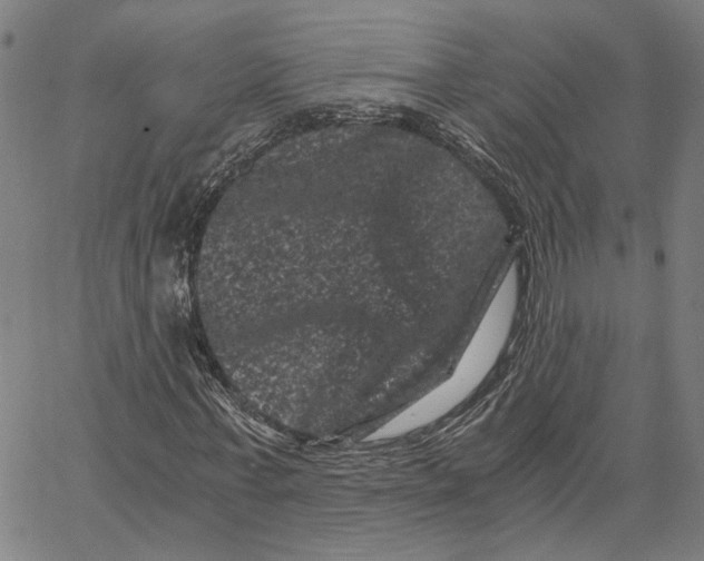 X0000062630771200601181719