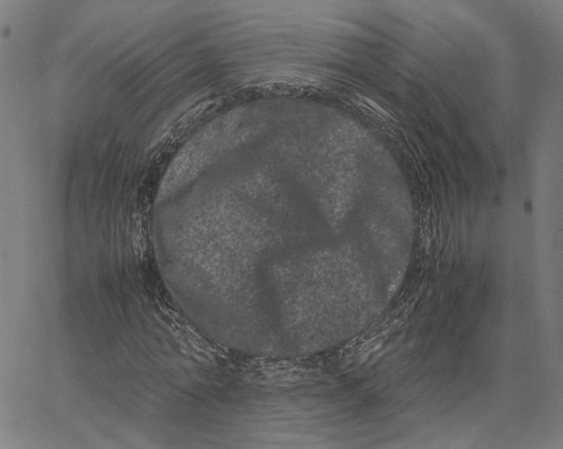 X0000062630774200601181719