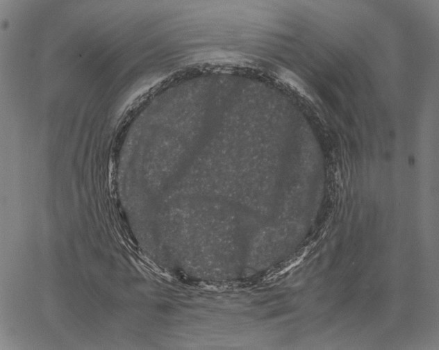 X0000062630775200601181719