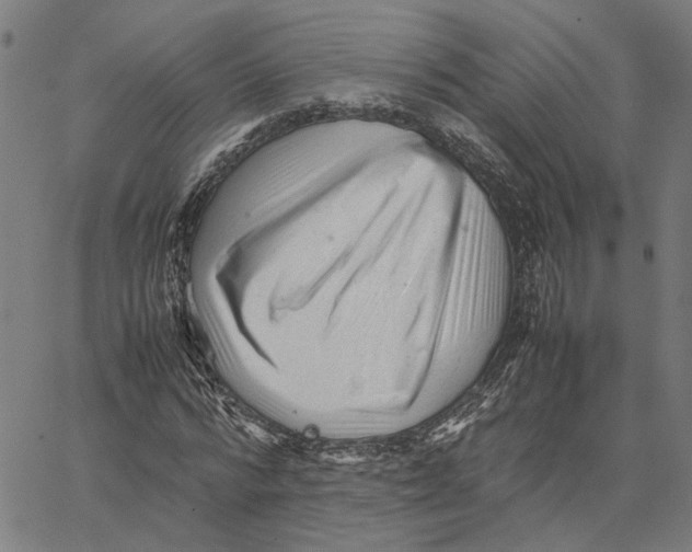 X0000062630776200601181719