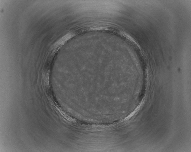 X0000062630777200601181719