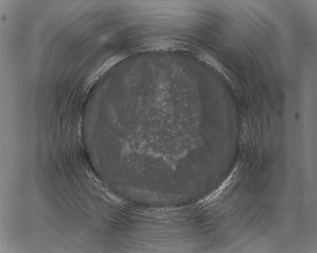 X0000062630778200601181719