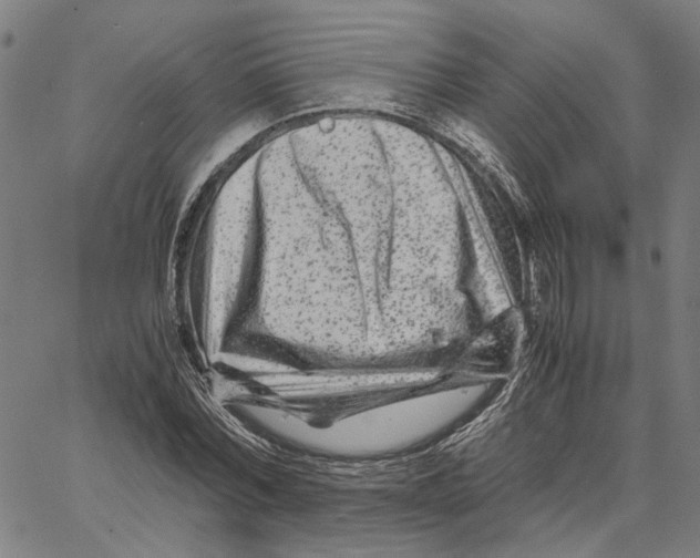 X0000062630780200601181719