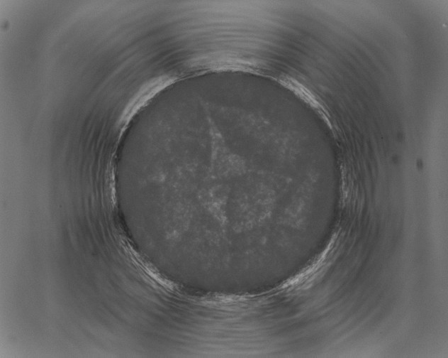 X0000062630782200601181719