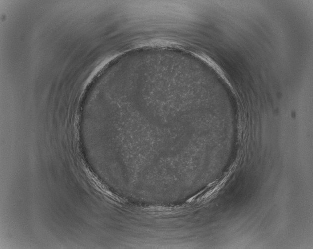 X0000062630783200601181719