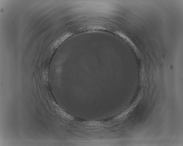 X0000062630785200601181718