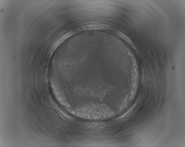 X0000062630786200601181718