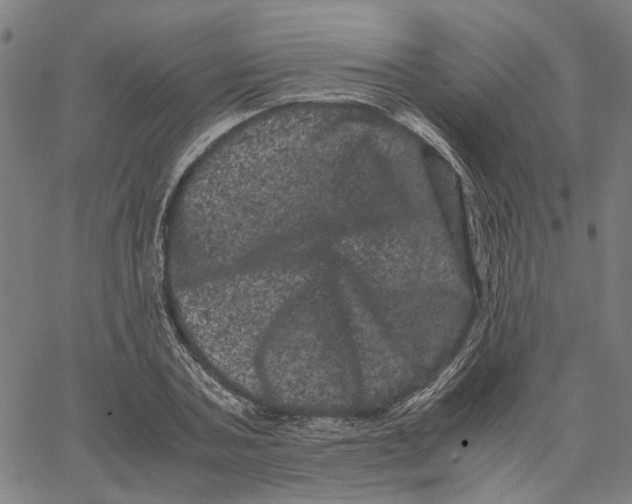 X0000062630787200601181718