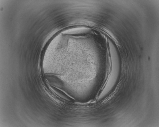 X0000062630788200601181718