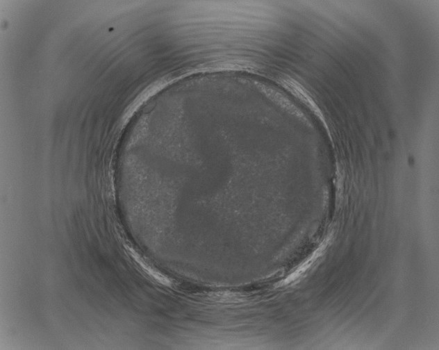 X0000062630789200601181718