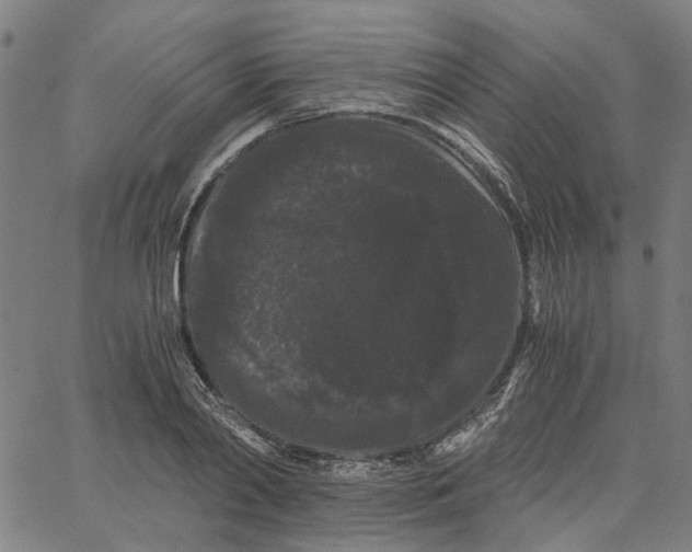 X0000062630790200601181718